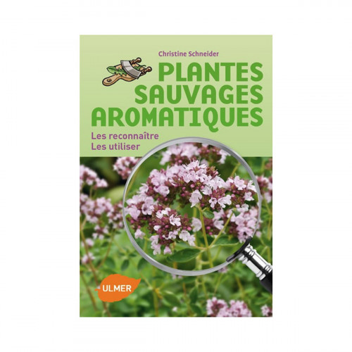 Plantes sauvages aromatiques