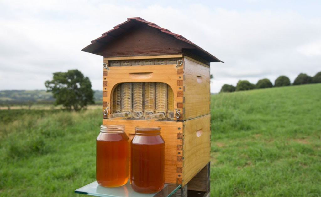 Flow Hive : une ruche innovante qui sert du miel à la pression