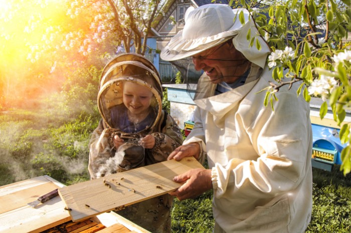 Enfumoir inox- combustible -outil indispensable pour l'apiculteur